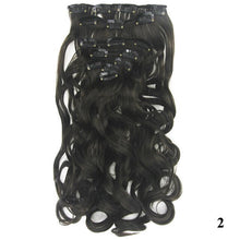 Load image into Gallery viewer, Long Wings