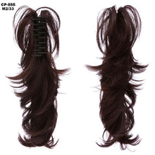 Load image into Gallery viewer, Drawstring Ponytail